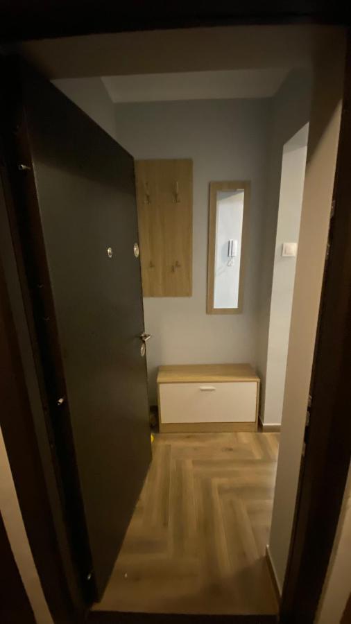 تيميشورا Dacia Apartment المظهر الخارجي الصورة